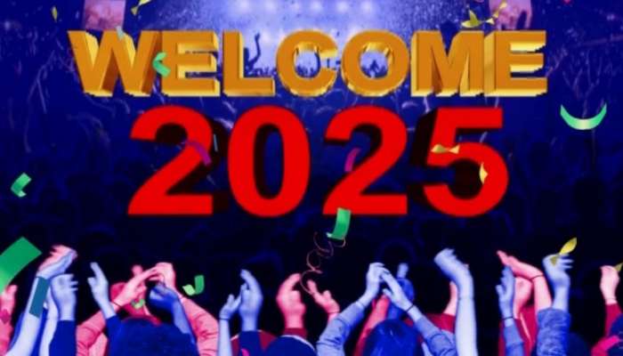 નવા વર્ષના જશ્નમાં ડૂબી દુનિયા, ગુજરાતે પણ કર્યું 2025નું સ્વાગત, રાજ્યભરમાં ઉજવણી