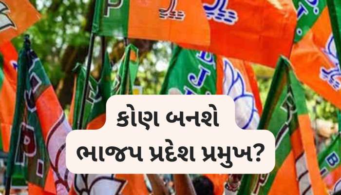 ગુજરાત ભાજપ સંગઠન સરચનાને લઈને મહત્વપૂર્ણ સમાચાર; આજે પસંદગીના માપદંડ નક્કી કરાશે!