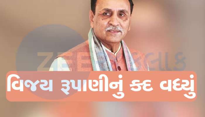 રૂપાણીને ફરી મળી મોટી જવાબદારી, આ રાજ્યના પ્રદેશ પ્રમુખની નિમણૂંકમાં મોટો રોલ ભજવશે