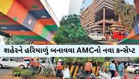 સુરતની જેમ હવે અ'વાદની પણ શોભા વધશે! શહેરના આ 3 બ્રિજના છેડે બનાવાશે વર્ટિકલ ગાર્ડન