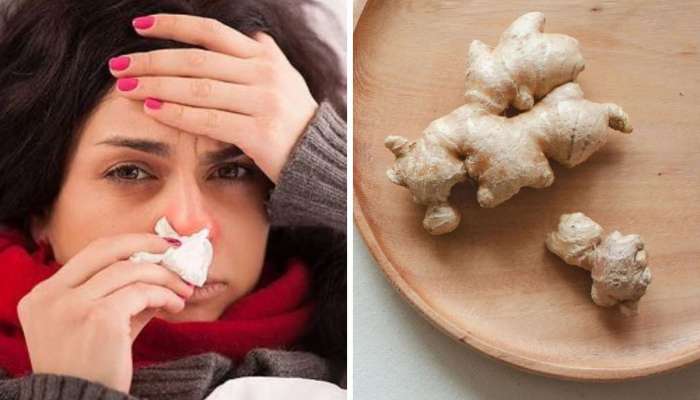 Desi Dava: શરદી-ઉધરસનો કાળ છે આ 5 દેશી મસાલા, ડોક્ટર પણ માને છે આ વસ્તુની શક્તિને