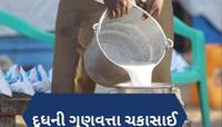 શું ગુજરાતમાં લોકોને મળી રહ્યું છે શુદ્ધ દૂધ? 900 જેટલા નમૂનાની થઈ તપાસ, જાણો વિગત