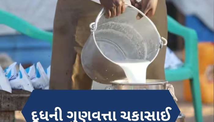 શું ગુજરાતમાં લોકોને મળી રહ્યું છે શુદ્ધ દૂધ? 900 જેટલા નમૂનાની થઈ તપાસ, જાણો વિગત