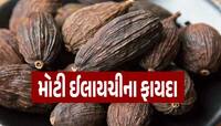 શિયાળામાં મોટી ઈલાયચી ખાવાના ગજબના છે ફાયદા, જાણો શું કહે છે એક્સપર્ટ
