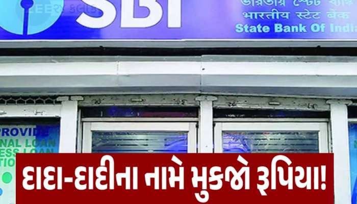 SBIએ લોન્ચ કરી 2 શાનદાર ડિપોઝિટ સ્કીમ, બનાવશે 'હર ઘર લખપતિ'! સિનિયર સિટીઝનને મોટો ફાયદો