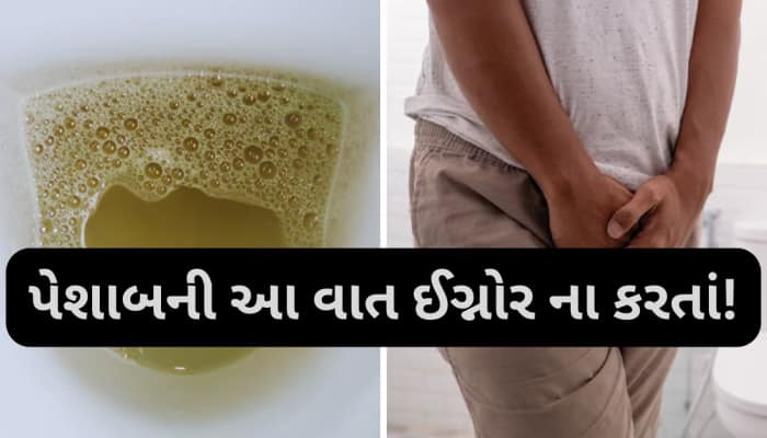 પેશાબમાં ફીણ આવે તો હોઈ શકે છે આ ગંભીર રોગોના સંકેત? તાત્કાલિક ડોક્ટરને બતાવો...