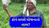 ખેડૂતો માટે મોટા સમાચાર, દર વર્ષે 12,000 રૂપિયા આપશે સરકાર! આ દિવસથી શરૂ થશે યોજના
