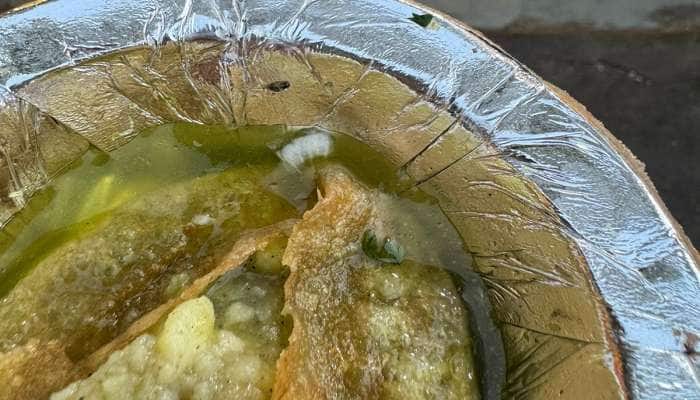 અમદાવાદની જાણીતી દુકાનની પાણીપુરીના પાણીમાંથી નીકળ્યો વંદો, વીડિયો વાયરલ