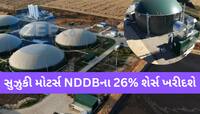 હવે ગુજરાત સહિત દેશમાં ગાયના ગોબરથી ચાલશે કાર; એક બે નહીં હશે 100 ગોબર ગેસ પ્લાન્ટ!