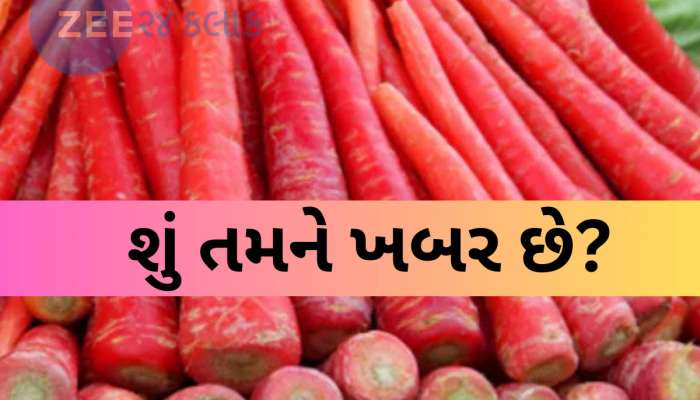 ગુજરાતના કયા જિલ્લાના ગાજર છે પ્રખ્યાત; કેટલા ગામના ખેડૂતો ખેતી કરી લાખોની કરે છે કમાણી, જાણો શું છે ભાવ?