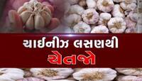 ફરી ગુજરાતમાંથી ઝડપાયું ચાઈનીઝ લસણનો મોટો જથ્થો, આંકડો જાણી આંખો થઈ જશે પહોંળી!