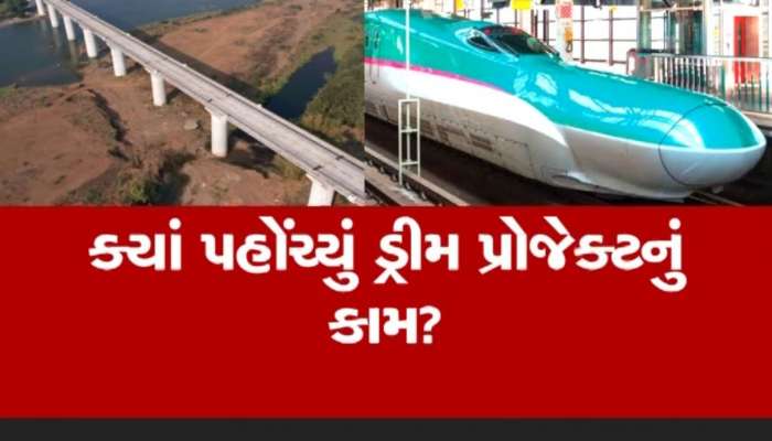  નેશનલ હાઈવે 48 પર બુલેટ ટ્રેનનો 210 મીટર લાંબો બ્રિજ થયો તૈયાર, અજાયબી કહી શકાય તેવો છે બ્રિજ