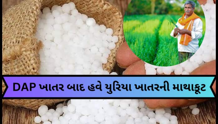 ગુજરાતના ધરતીપુત્રો ફરી ચિંતામાં મુકાયા! DAP ખાતર બાદ હવે યુરિયા ખાતરની મોકાણ!