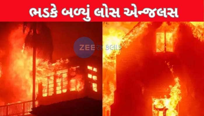 ભડકે બળ્યું છે લોસ એન્જલસ, વિકરાળ આગમાં હોલીવુડ સ્ટાર્સના ઘર પણ બળીને ખાખ, Photos