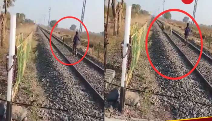 ગાય-ભેંસની જેમ આ ભાઈએ સિંહને ભગાડ્યો, રેલવે ગાર્ડની બહાદુરી જુઓ વીડિયોમાં 