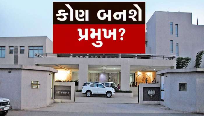 ભાજપમાં પ્રમુખ બનવા કાંટે કી ટક્કર! ઝી 24 કલાક પાસે આવી ગયું પ્રબળ દાવેદારોનું લિસ્ટ