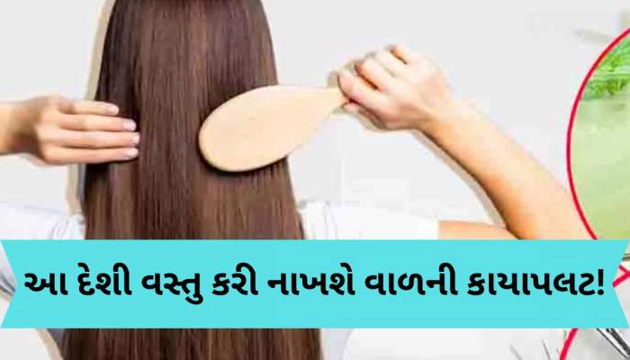 લાંબા અને મજબૂત વાળ માટે ટામેટામાં આ 3 ચીજો મિક્સ કરો, જાણો ઉપયોગ કરવાની સાચી રીત...