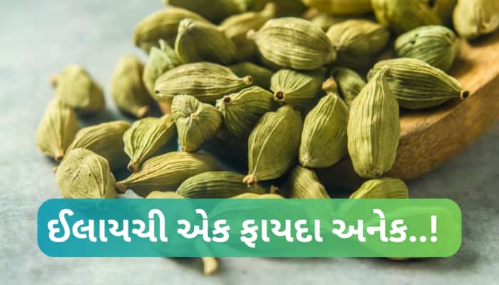 દિવસ હોય કે રાત રોજ ખાવો 2 લીલી ઈલાયચી, આ 5 સમસ્યાઓનો જડમૂળમાંથી થશે ખાત્મો