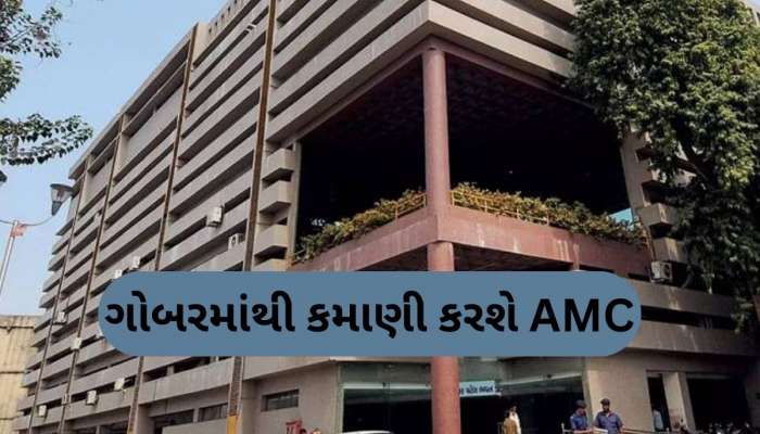 રખડતા પશુઓના ગોબરમાંથી કમાણી કરશે અમદાવાદ મહાનગર પાલિકા, બનાવ્યો પ્લાન
