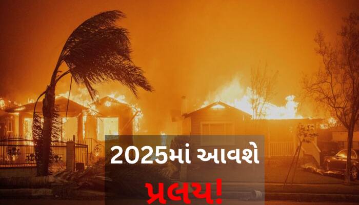 અમેરિકામાં લાગેલી આગ તો ટ્રેલર છે! 2024 સૌથી ગરમ રહ્યું,2025 શરૂઆતથી જ પ્રલયની દસ્તક