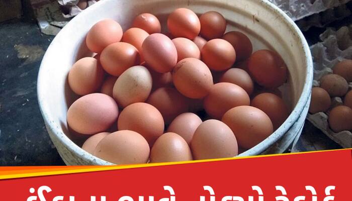 Egg Price: ઈંડાના ભાવે તોડ્યો રેકોર્ડ, 2000નું એક ક્રેટ હોવા છતા પણ બજારમાંથી ગાયબ