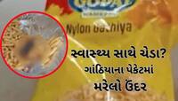 Shocking! ગાંઠીયાના પેકેટમાંથી મરેલો ઉંદર નીકળ્યો, ખાધા બાદ બાળકીને થઈ ખતરનાક બીમારી