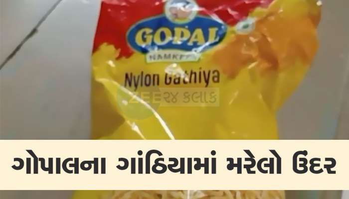 જો તમને પણ 5 રૂપિયાના પડીકા ખાવાની આદત હોય તો ચેતી જજો, ગોપાલ નમકીનમાંથી નીકળ્યો ઉંદર