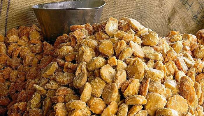 શુદ્ધ સમજીને જે ગોળ ખાવ છો તે નકલી પણ હોય, ખાતા પહેલા ગોળ અસલી છે કે નહીં ચેક કરો