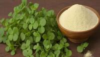Indian Herb: યાદશક્તિ વધારતી આ ભારતીય જડીબુટ્ટી પાછળ વિદેશીઓ પાગલ, જાણો 4 ફાયદા વિશે