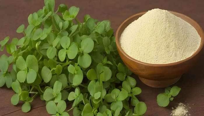 Indian Herb: યાદશક્તિ વધારતી આ ભારતીય જડીબુટ્ટી પાછળ વિદેશીઓ પાગલ, જાણો 4 ફાયદા વિશે