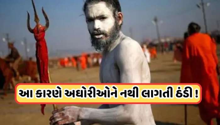 Naga Sadhu: આટલી ઠંડીમાં પણ નાગા સાધુઓ કેવી રીતે રહી શકે છે નગ્ન, જાણો તેની પાછળનું વિજ્ઞાન