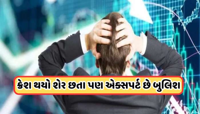 ક્રેશ થયો સરકારી કંપનીનો શેર, એક્સપર્ટે કહ્યું: 320 રૂપિયાને પાર જશે ભાવ