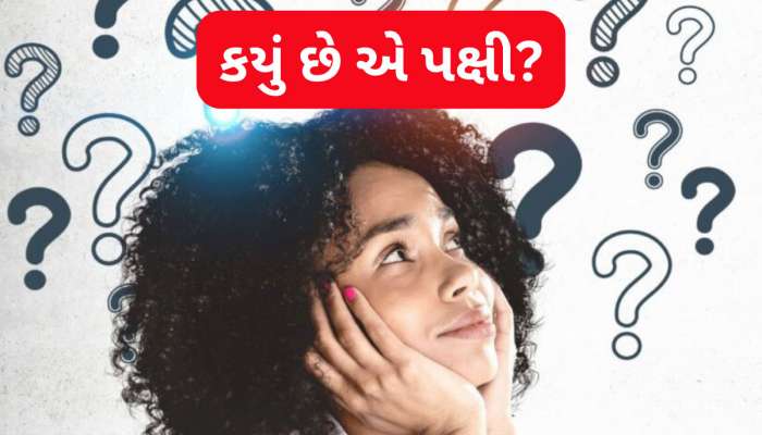 GK Quiz: એવું તે કયું પક્ષી છે જે દૂધમાંથી પાણી અલગ કરીને દૂધ પી જાય છે? 