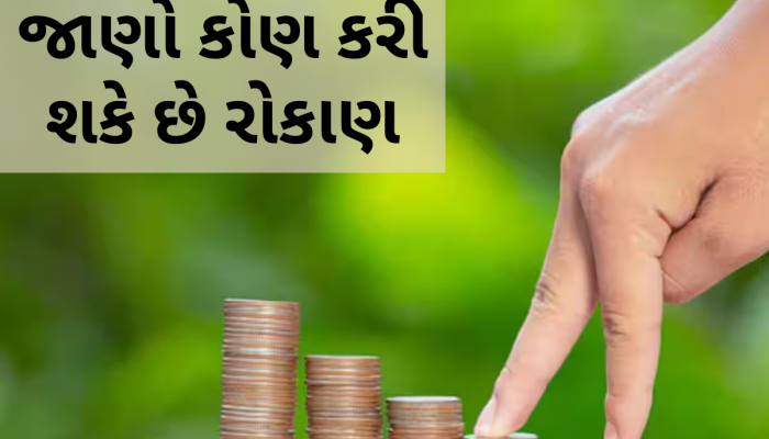 કમાણી કરવાની મોટી તક! હવે માત્ર 100 રૂપિયાથી નવા ફંડમાં શરૂ કરો રોકાણ, થઈ જશો માલામાલ