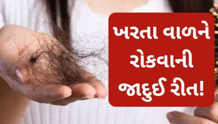 કાસકો ફેરવતા જ ગુચ્છે ગુચ્છા ખરે છે વાળના? અપનાવો આ 3 નુસ્ખા, 1 અઠવાડીયામાં પલટી નાખશે વાળની કાયા