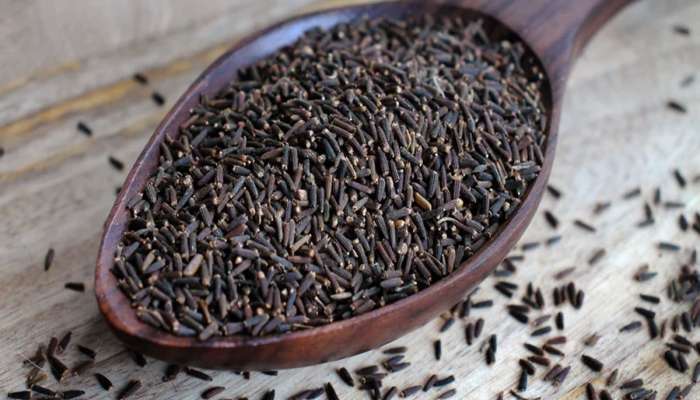Black Cumin: પાચન માટે અમૃત છે કાળુ જીરું, આ રીતે ઉપયોગ કરશો તો શુગર અને કોલેસ્ટ્રોલ પણ કંટ્રોલમાં રહેશે