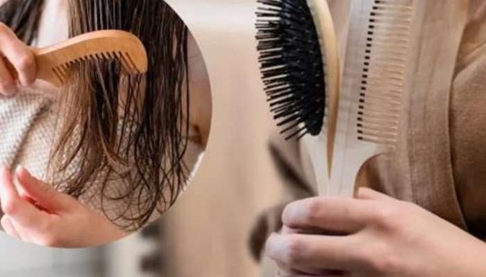 Hair Loss: ઝડપથી ટૂટવા લાગશે વાળ, જો કાંસકો ફેરવતા સમયે કરશો આ ભૂલો