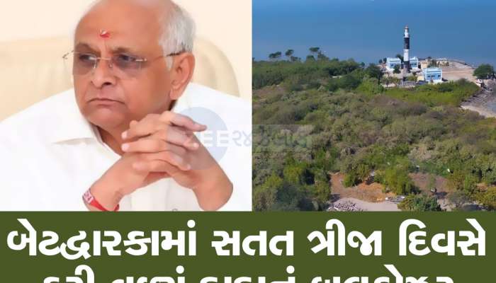 ગેરકાયદેસર દબાણોથી મુક્ત થયો ગુજરાતનો સૌથી સુંદર ટાપુ, દાદાનું બુલડોઝર ફરી વળ્યું