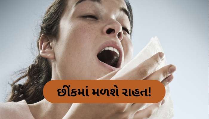 શું સવારે ઉઠીને પણ તમને છીંક આવવાની છે સમસ્યા? તો અપનાવો આ આયુર્વેદિક ઉપાય