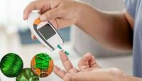 Diabetes: સવારે ઉઠતાવેંત ચાવો આ 3 છોડના પાન, બ્લડ શુગર લેવલ હંમેશા કંટ્રોલમાં રહેશે