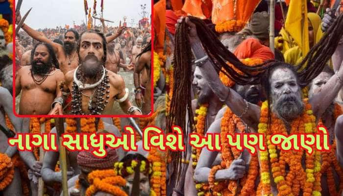 નાગા સાધુઓને નથી અપાતો મુખાગ્નિ...તો પછી કેવી રીતે થાય છે અંતિમ સંસ્કાર? ખાસ જાણો 