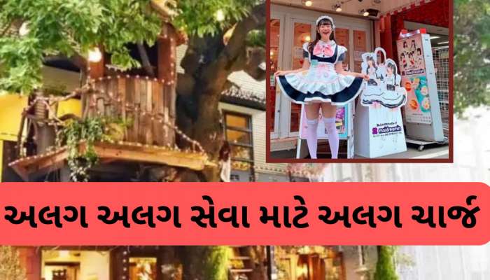 Trending News: 500 રૂપિયા આપો અને 3 મિનિટ માટે વેઈટ્રેસના ખોળામાં બેસો, આ કેફે આપે છે આવી સુવિધા, જાણો વિગતો