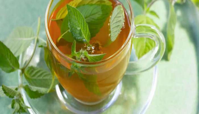 Tulsi kadha: તુલસીનો ઉકાળો વજન ઘટાડવામાં કરશે મદદ, જાણો બનાવવાની રીત અને તેના ફાયદા