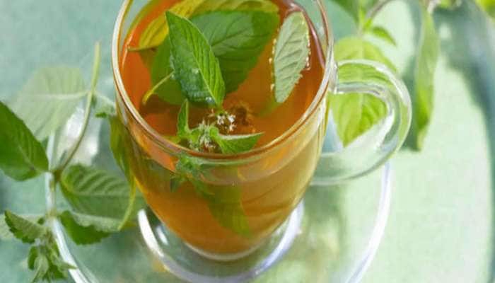 Tulsi kadha: તુલસીનો ઉકાળો વજન ઘટાડવામાં કરશે મદદ, જાણો બનાવવાની રીત અને તેના ફાયદા
