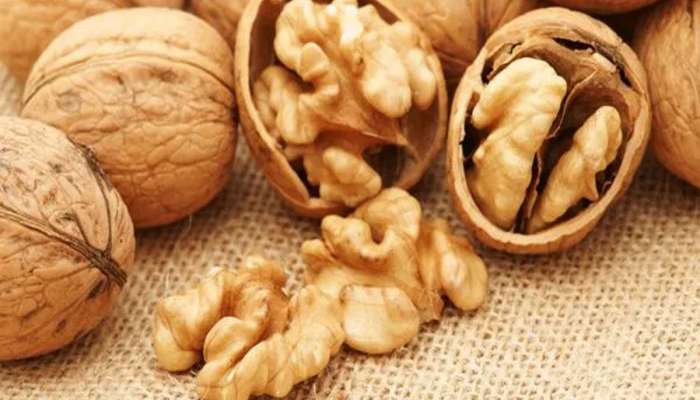 Walnuts: સ્વાસ્થ્ય માટે અમૃત છે અખરોટ, પણ આ 4 બીમારીના દર્દી માટે અખરોટથી ખરાબ બીજી કોઈ વસ્તુ નથી
