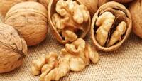 Walnuts: શરીર માટે અમૃત છે અખરોટ, પણ આ 4 બીમારીમાં અખરોટથી ખરાબ બીજું કંઈ જ નથી