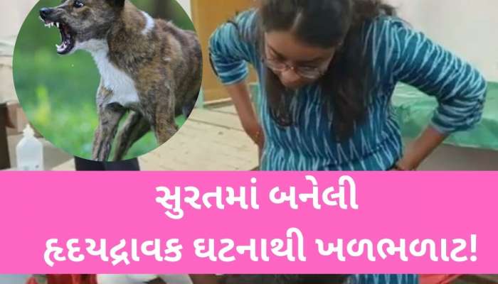 ગુજરાતની આ ઘટના વાંચીને રૂવાડાં ઉભો થઈ જશે! માસૂમ બાળક વોશરૂમ ગયોને શ્વાને ફાડી ખાધો
