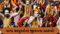 કુંભ મેળા બાદ કયાં ગાયબ થઈ જાય છે નાગા સાધુ? જાણો તેમની રહસ્યમયી દુનિયા વિશે