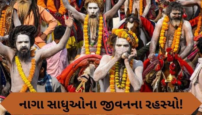 કુંભ મેળા બાદ કયાં ગાયબ થઈ જાય છે નાગા સાધુ? જાણો તેમની રહસ્યમયી દુનિયા વિશે