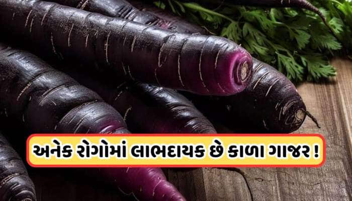 લાલ ગાજરનો હલવો તો ખાધો હશે ? અહિં મળે છે કાળા ગાજરનો હલવો, જાણો ફાયદા